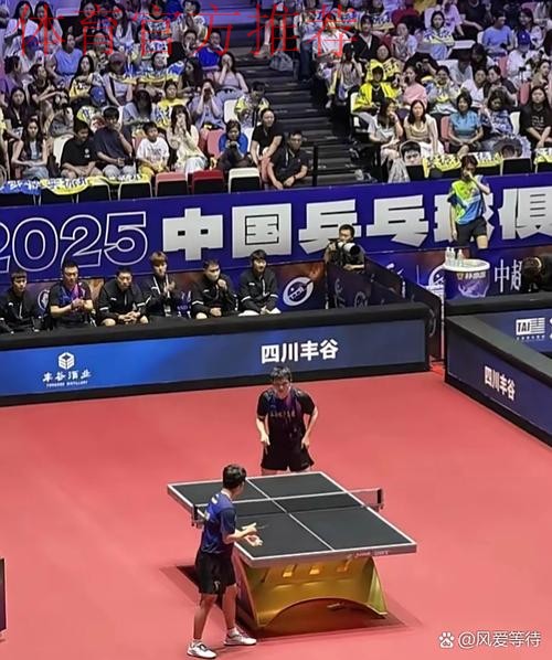 《熊猫说球》第九集:比赛开始与恢复,比赛进行与停止 《熊猫说球》第九集:比赛开始与恢复,比赛进行与停止